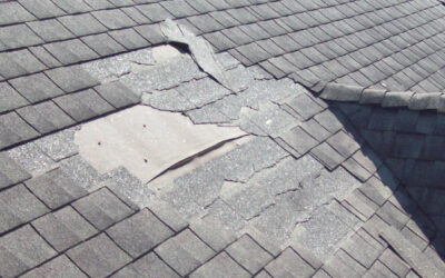 Roofing Review